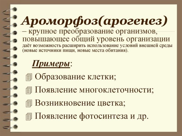 Ароморфоз примеры
