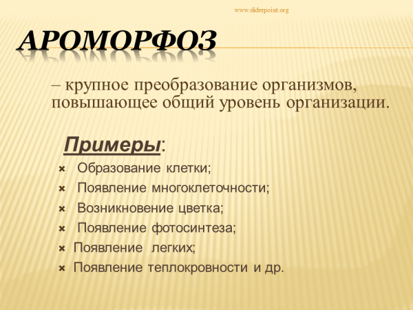 Ароморфоз примеры