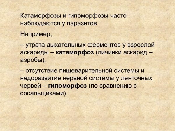 Ароморфоз это в биологии