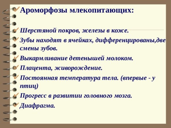 Системы органов позвоночных животных