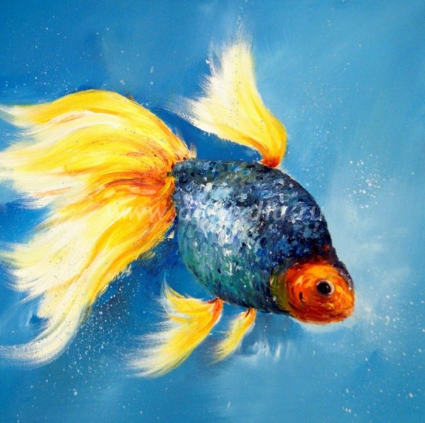 Золотая рыбка арт