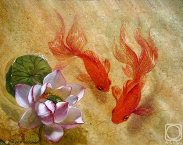 Китайская Золотая рыбка