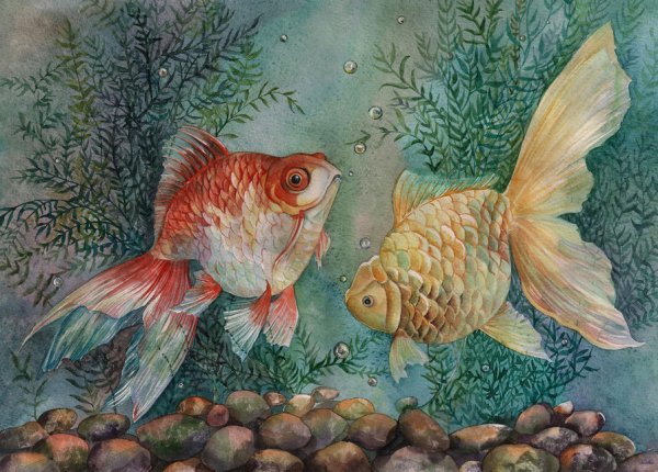 Пловецкая Татьяна рыбки