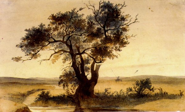 Шевченко Тарас Григорович картины