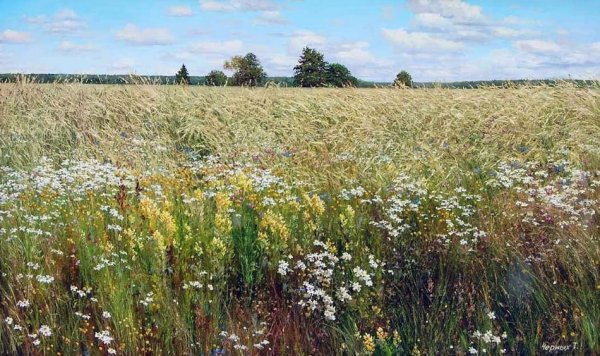 Татьяна черных - белорусский художник