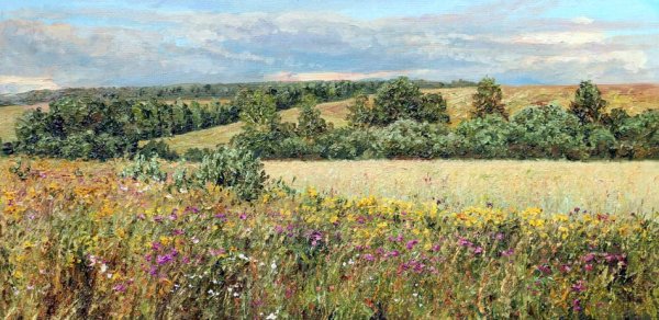 Татьяна черных лето цветы луг живопись