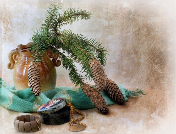 Натюрморт с еловыми ветками