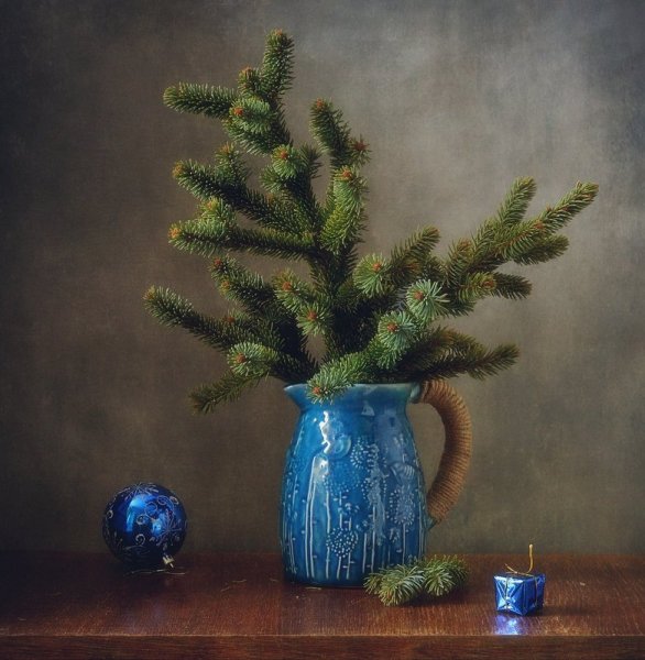 Ветка сосны акварель