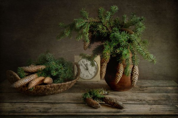 Рисование Еловая веточка