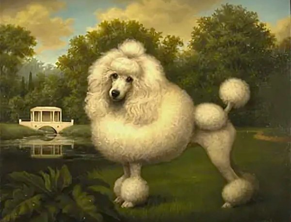 Королевский пудель арт