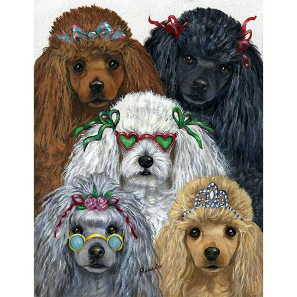 Алмазная мозаика пудель