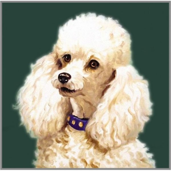 Алмазная мозаика пудель