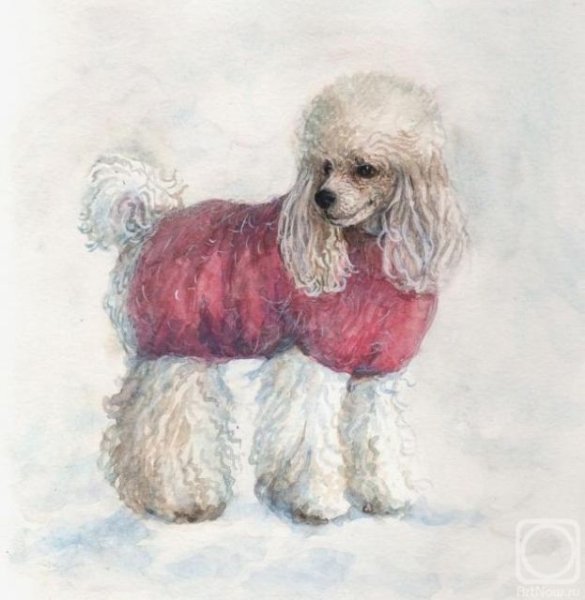 Пудель акварелью