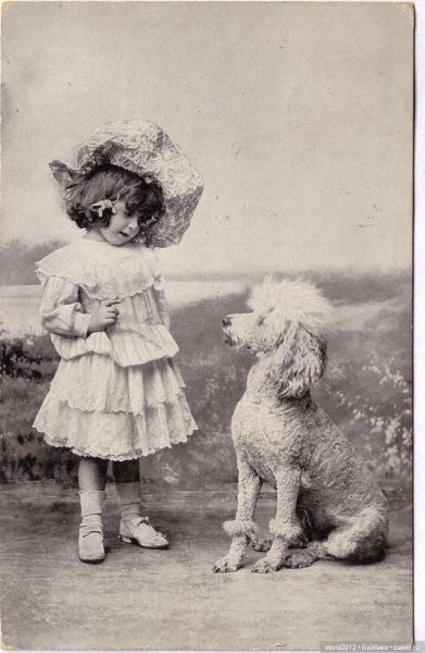 Пудель на старинных картинах