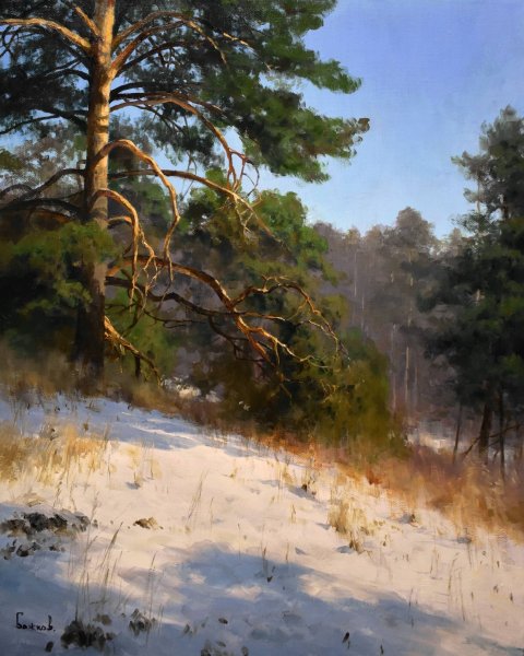 Роман Божков сосна