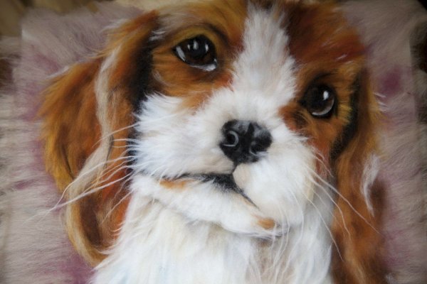 Живопись шерстью собаки