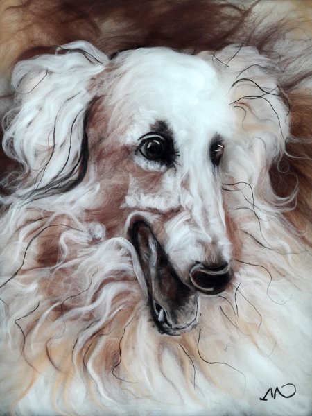 Ерко шерстный терьер