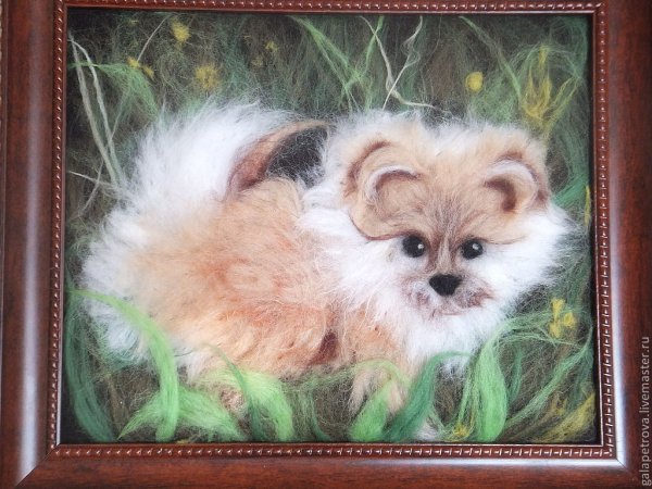 Живопись шерстью собаки