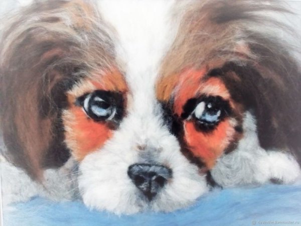 Живопись шерстью собаки