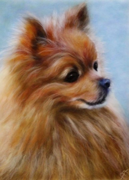 Живопись шерстью собаки