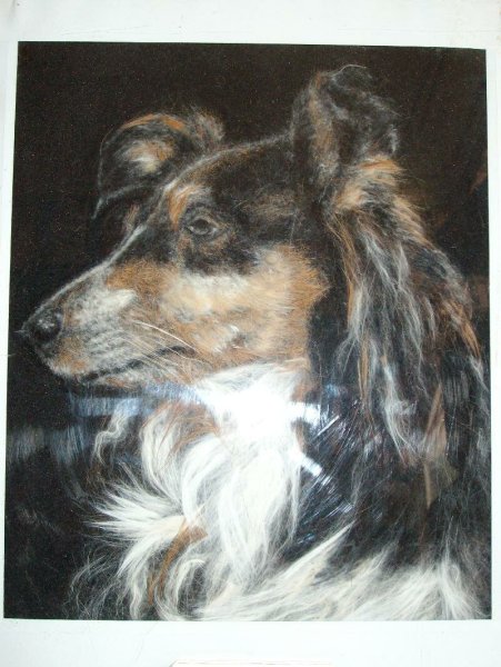 Живопись шерстью собаки