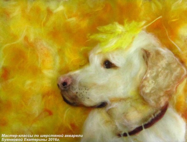 Живопись шерстью собаки