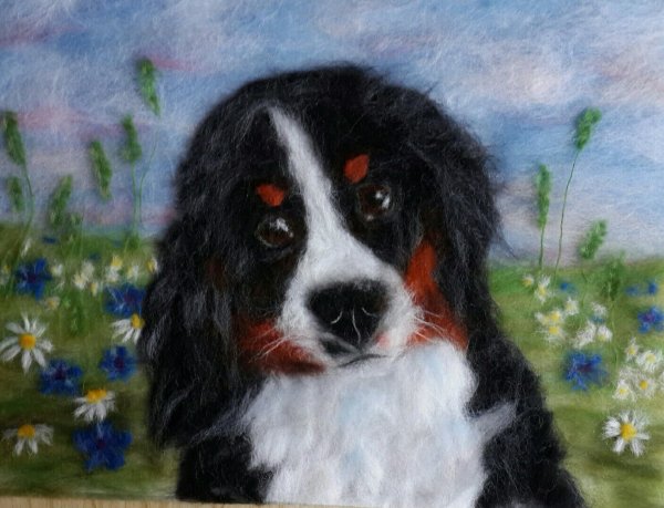 Живопись шерстью собаки