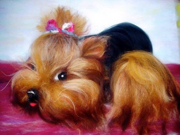 Шерсть собаки