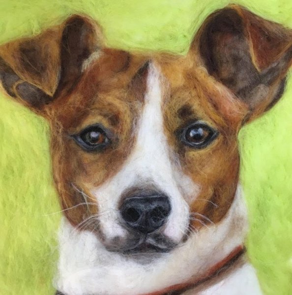 Живопись шерстью собаки