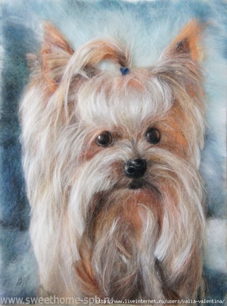 Йорк терьер шерсть