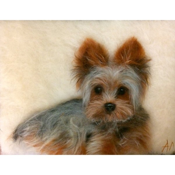 Собаки с объемной шерстью