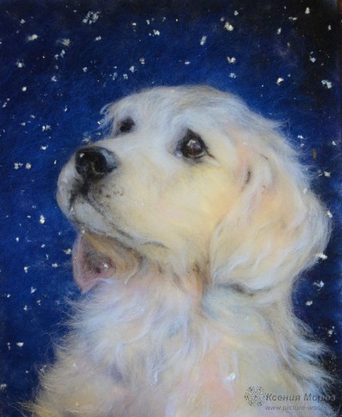 Картины из шерсти собаки