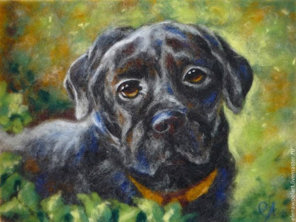 Живопись шерстью собаки