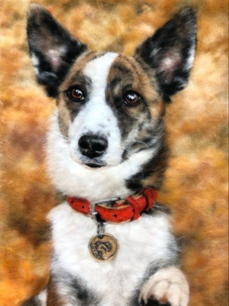 Картины из шерсти собаки