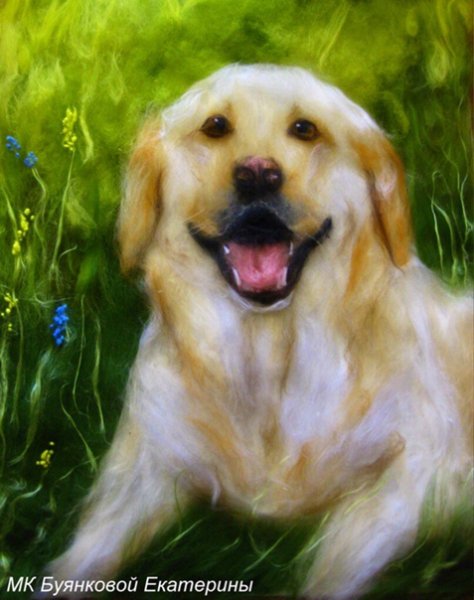 Шерстяная акварель собаки