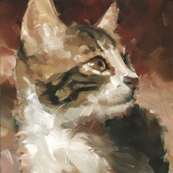 Кошка мастихином