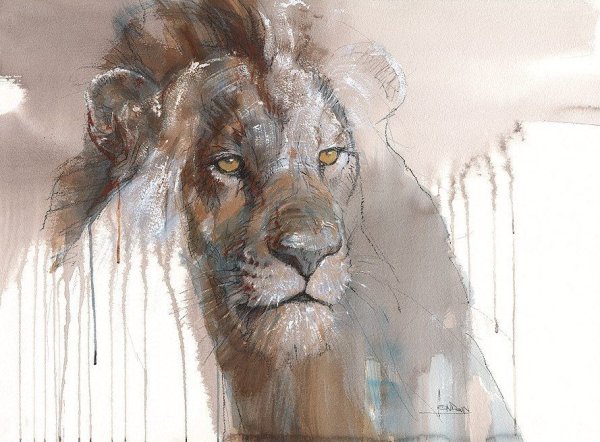 Художник-анималист Anne London