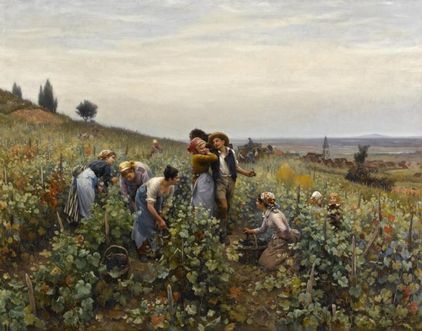 «Сбор урожая в Провансе», 1888 года.