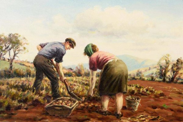 А.А. пластов «сбор картофеля» 1956г.