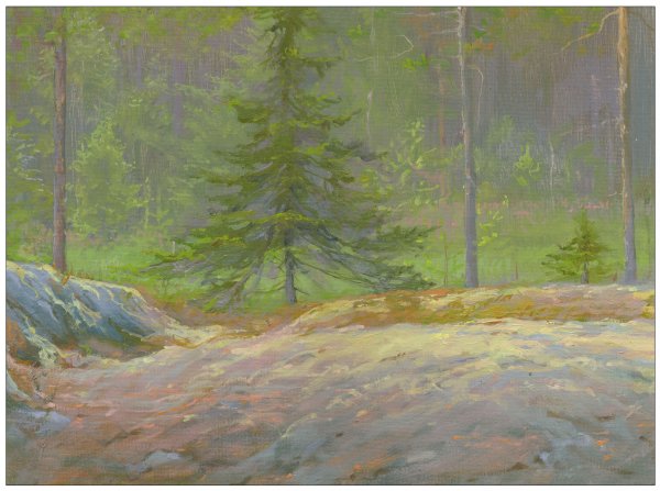 Художник Биляев Роман Халиуллович