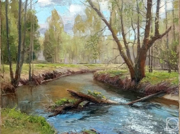 Художник Плотников Иваново