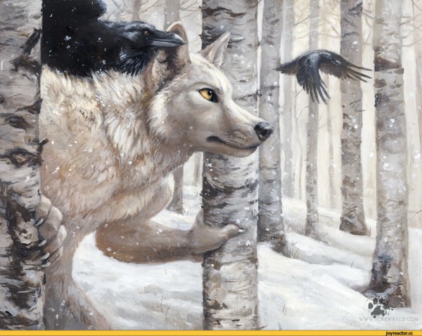 Белый волк и ворон