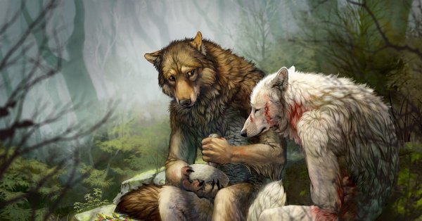 Семья оборотней