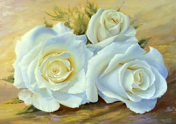Белые розы живопись