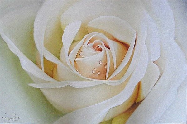 Татьяна Зубова розы