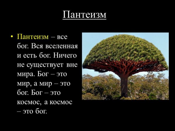 Понятие пантеизма