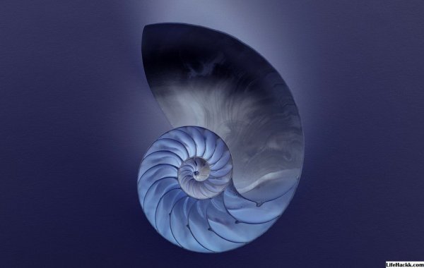 Натуралистический пантеизм