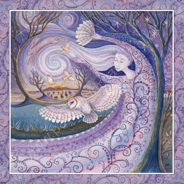 Венди Эндрю ИМБОЛК