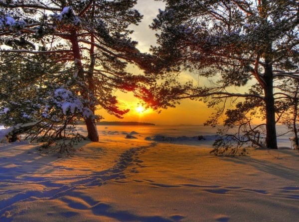 Йоль рождение Бога солнца