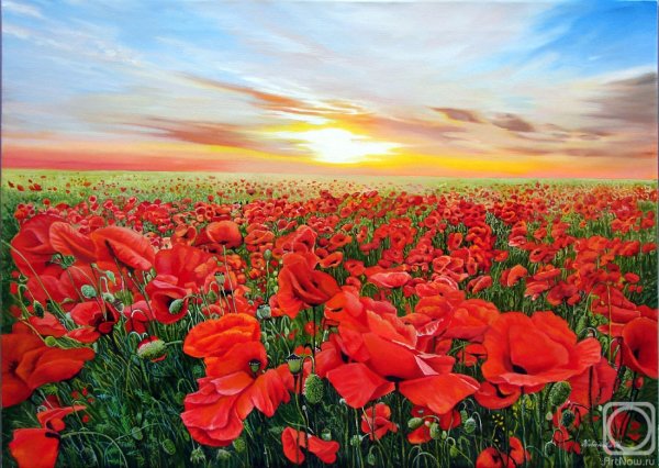 «Маки (поле маков)», 1873 год.